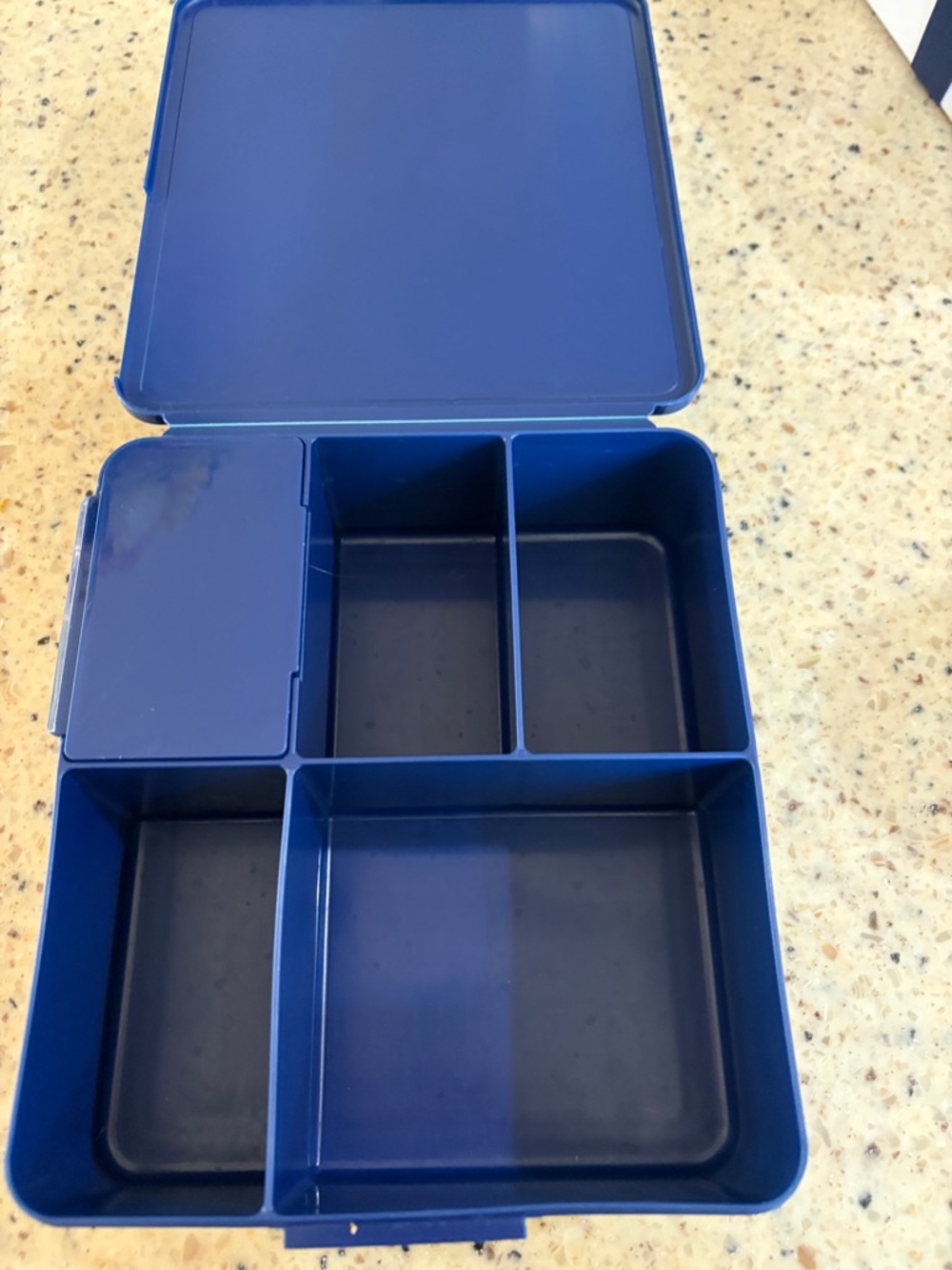 Pottery Barn Teen Blue Compartmentalized Plastic Storage Box